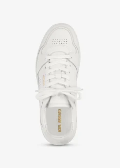 Dice Lo Sneaker